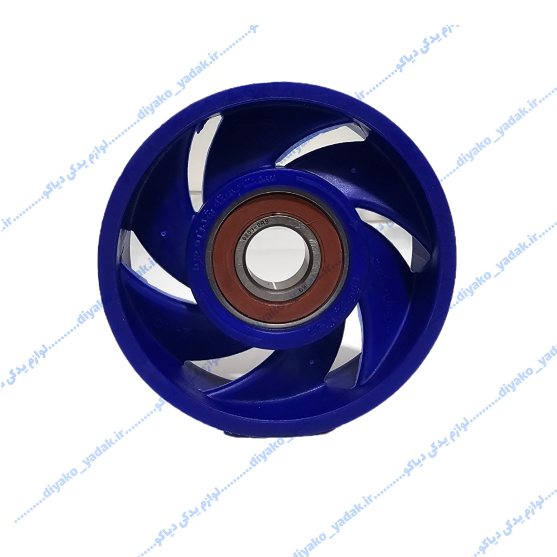 InShot_20250928_141922729