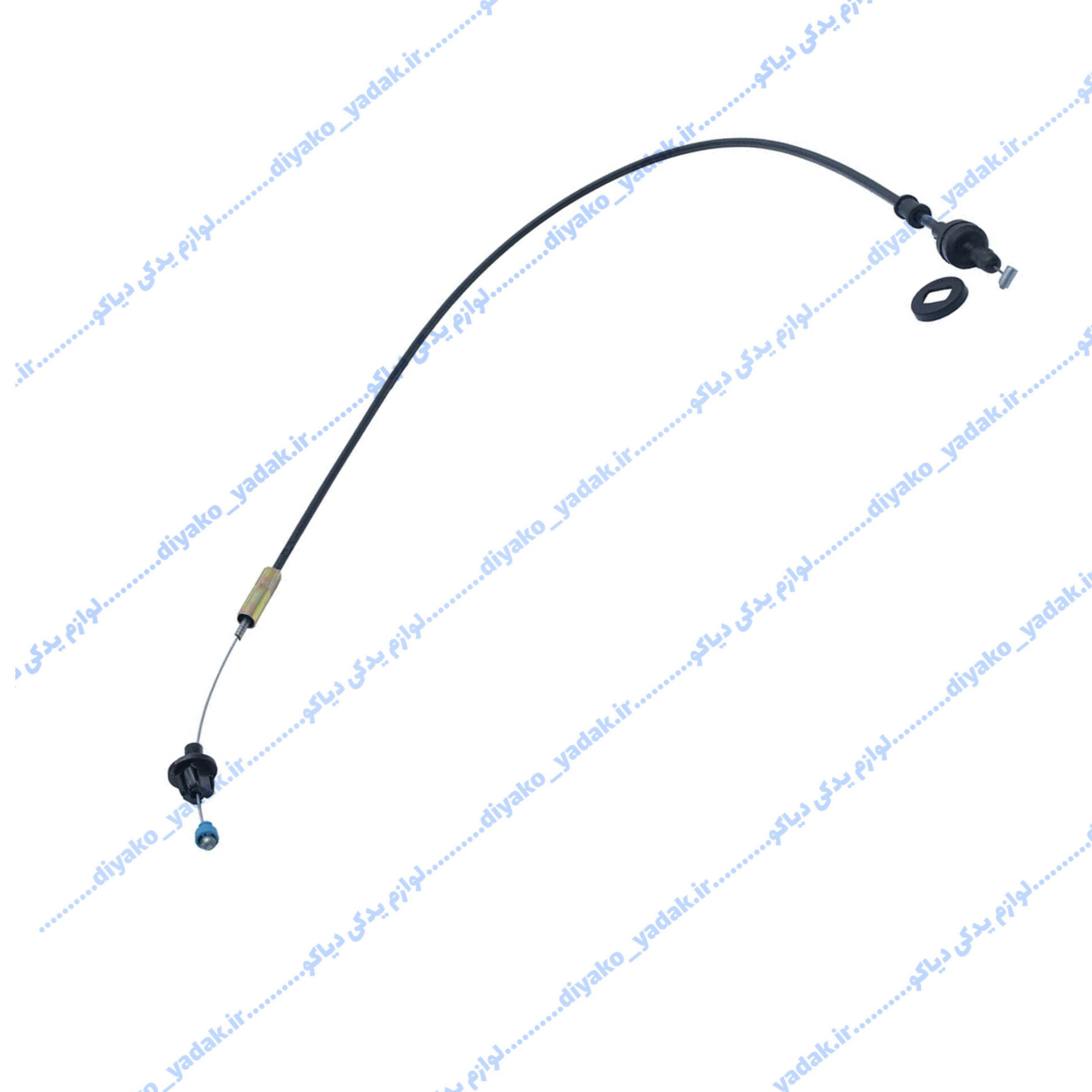 InShot_20251026_120656455