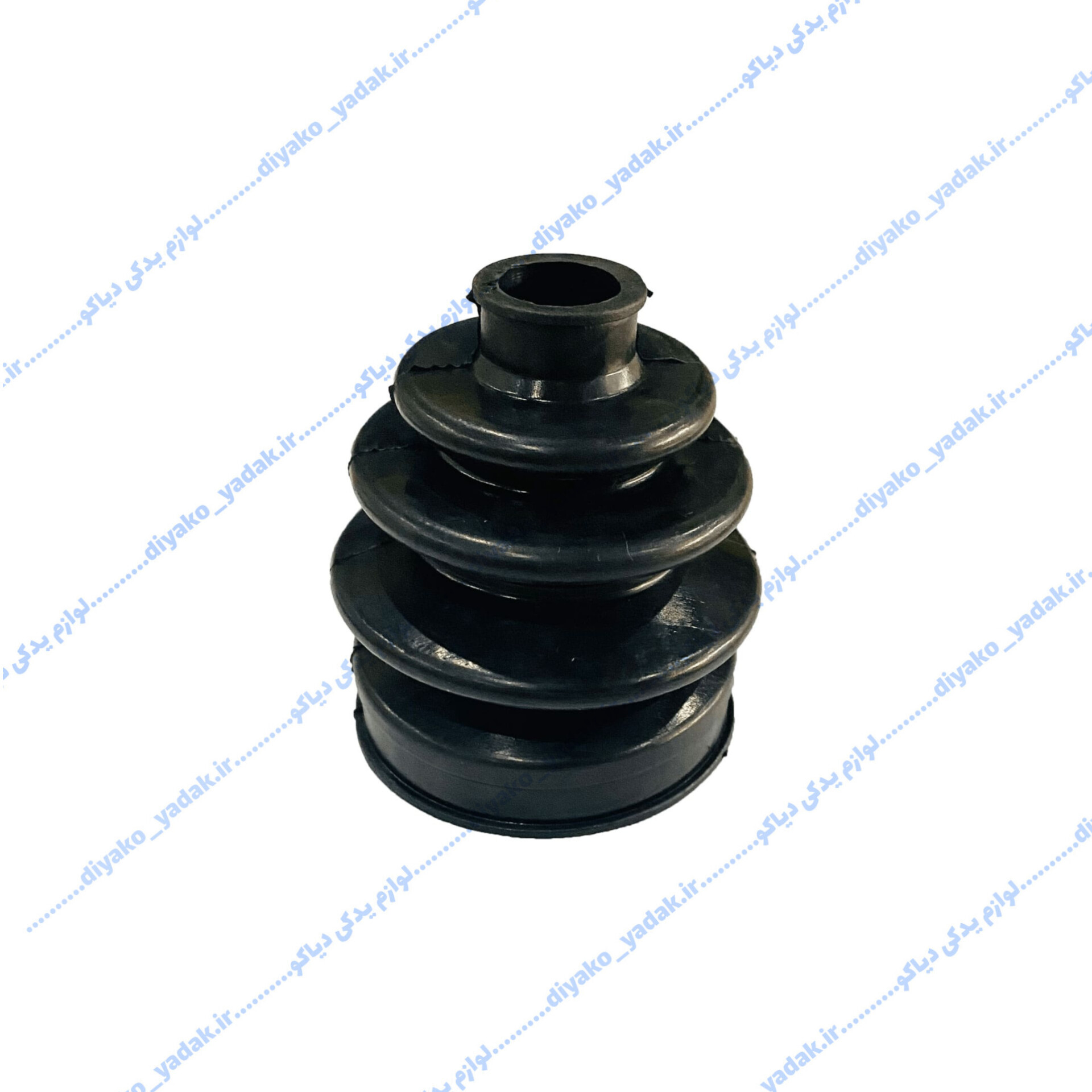 InShot_20251026_203454280