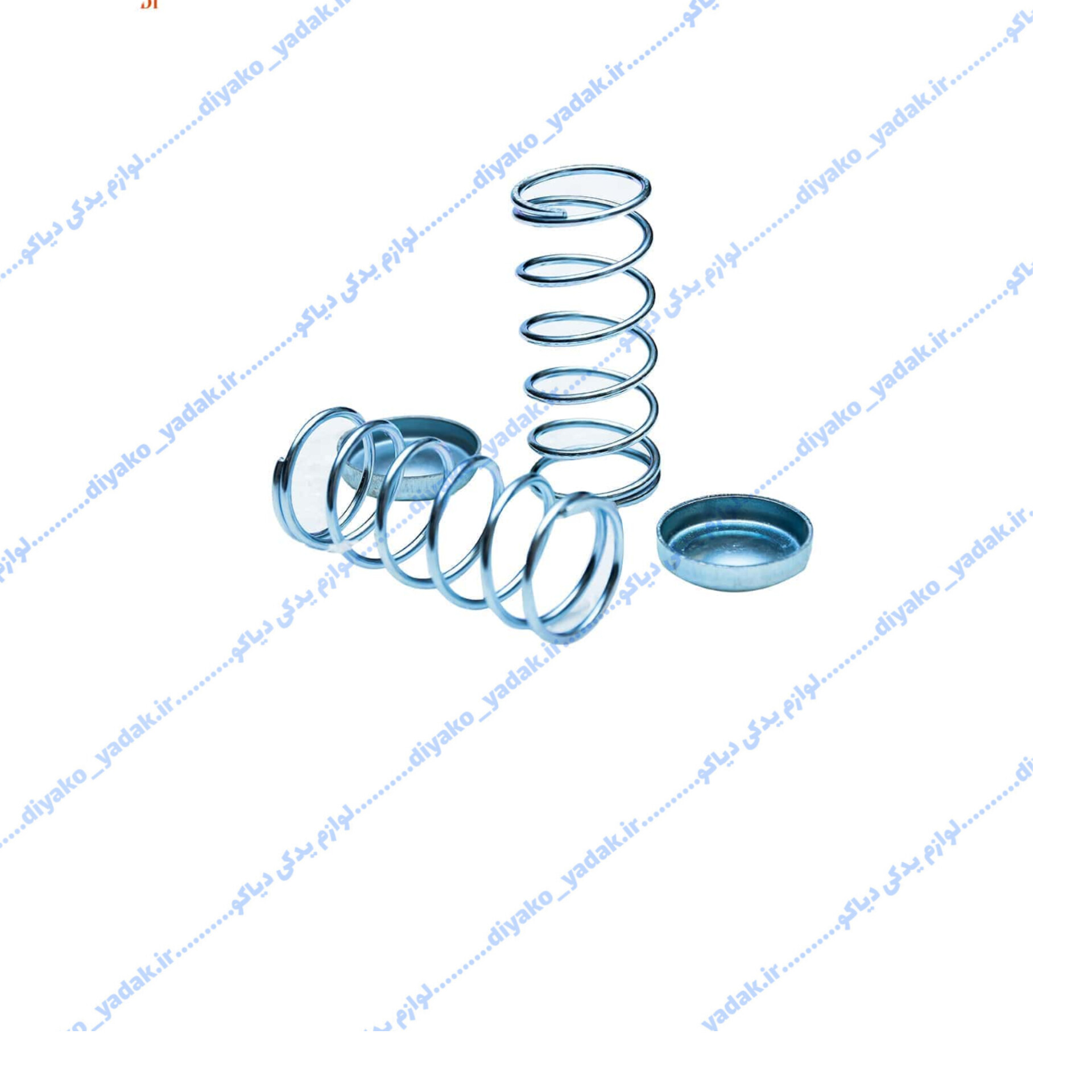 InShot_20251026_210424612