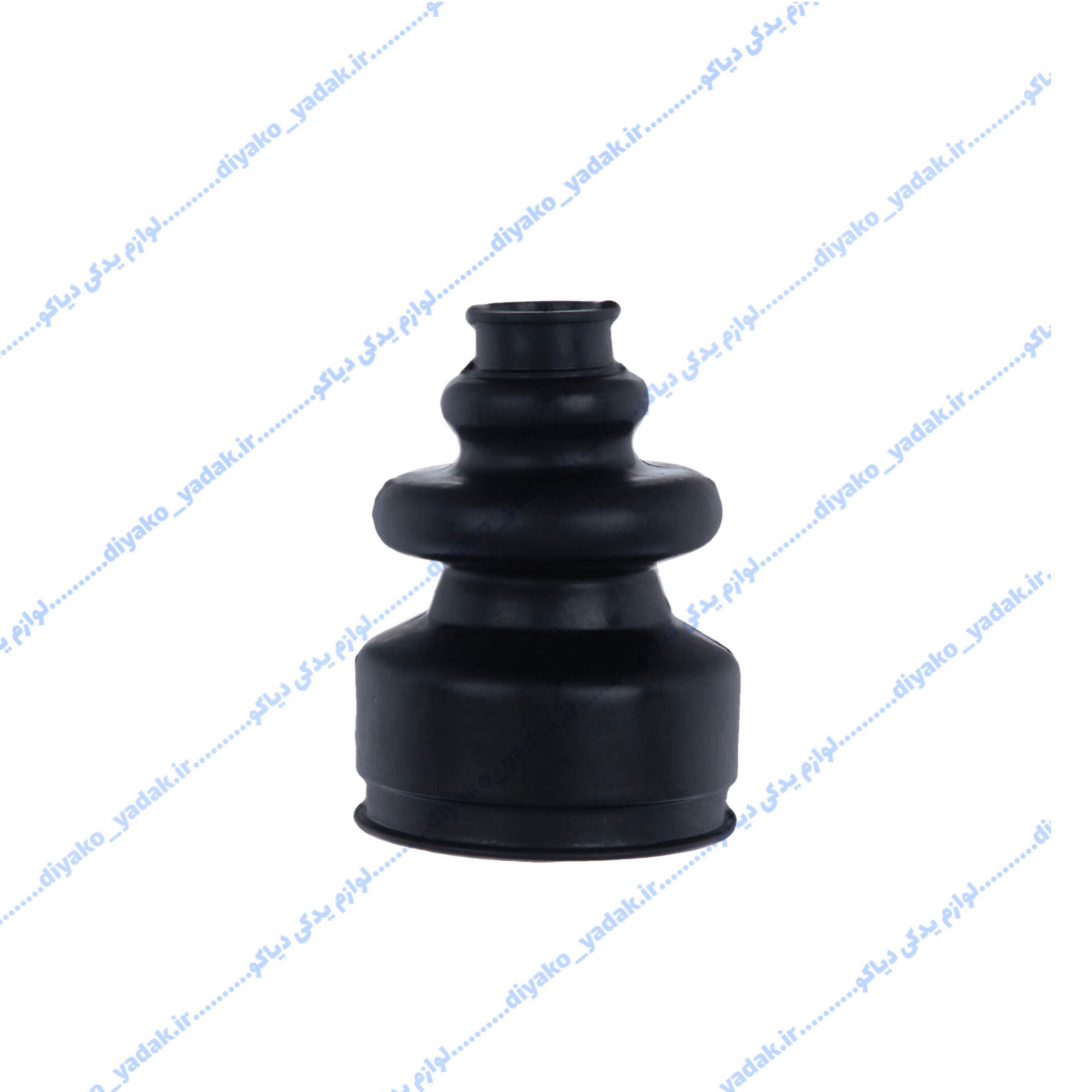 InShot_20251026_211902647