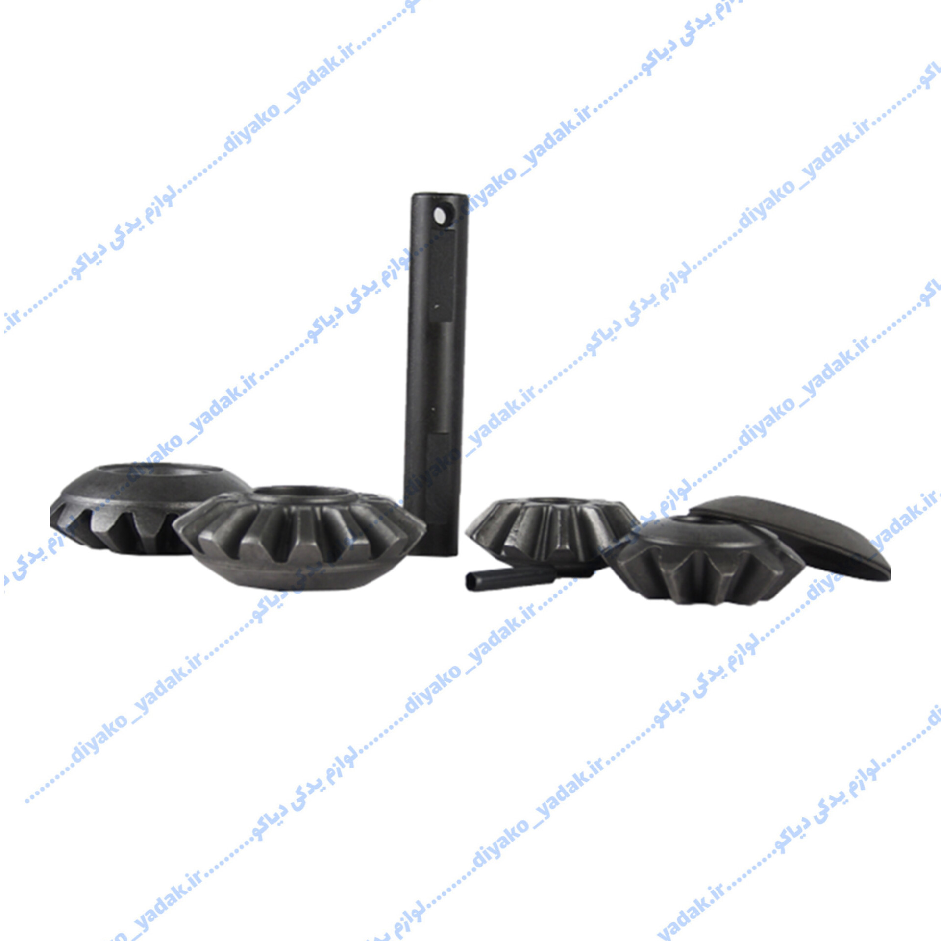 InShot_20251026_222144237