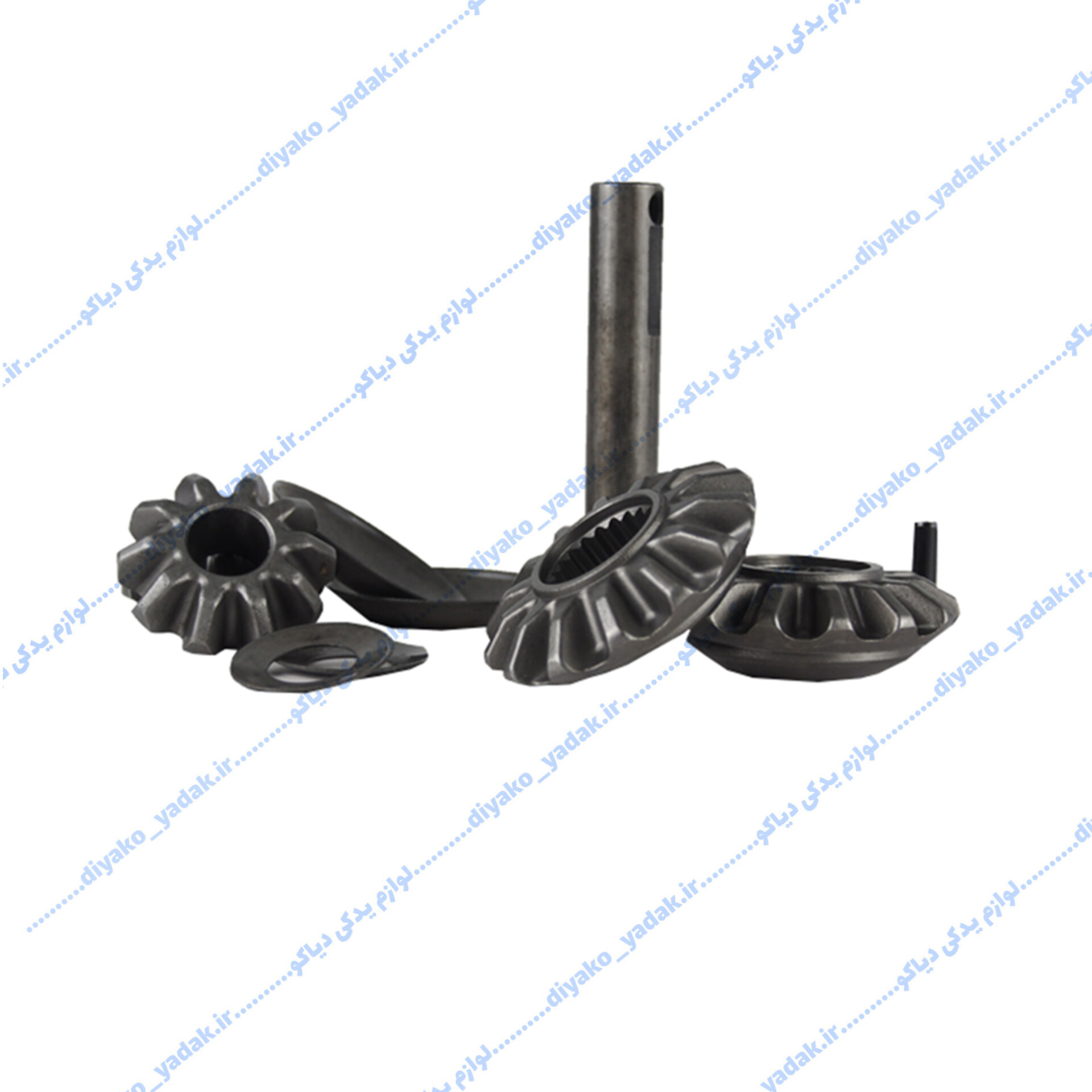 InShot_20251026_222305197