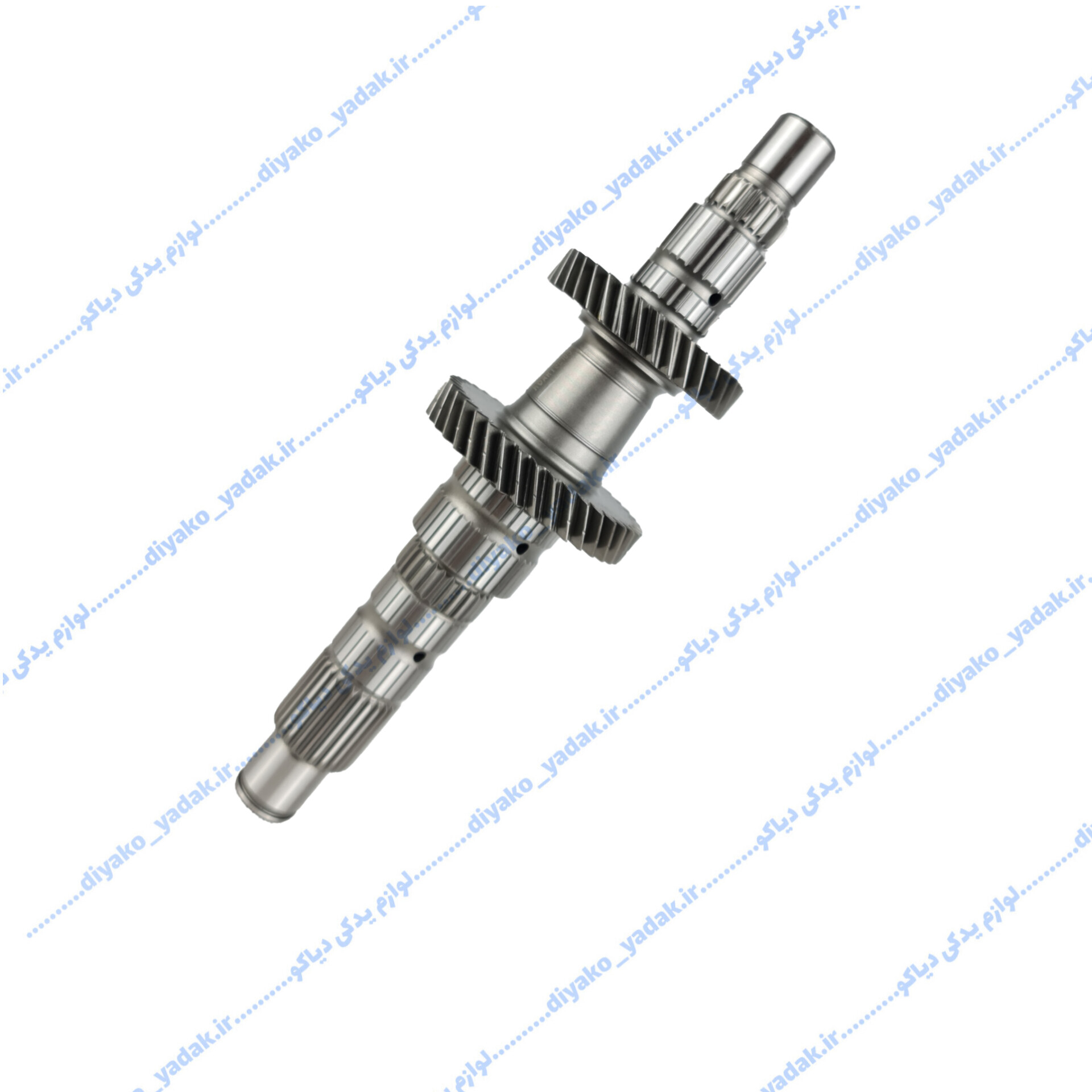 InShot_20251027_072646215