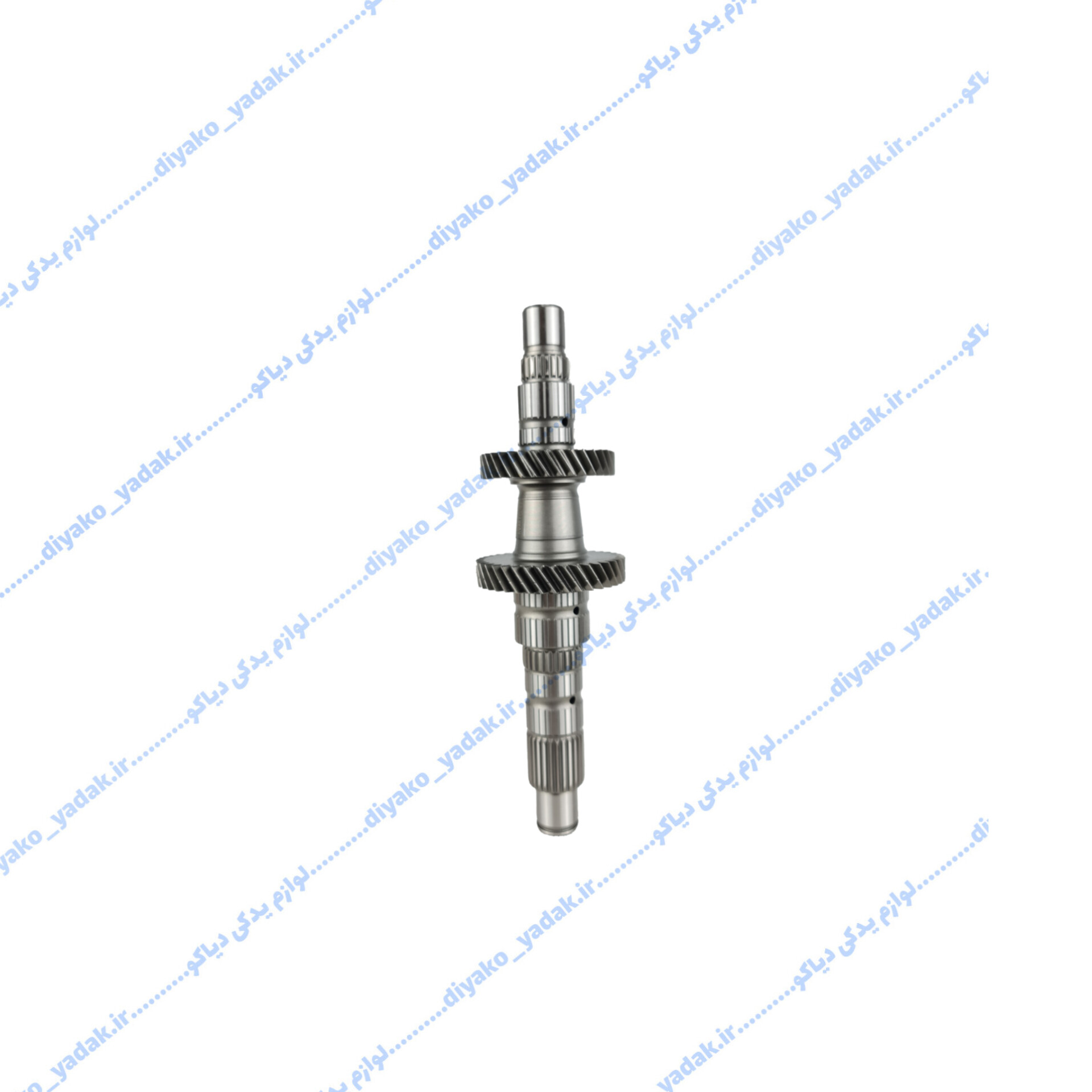 InShot_20251027_075118635