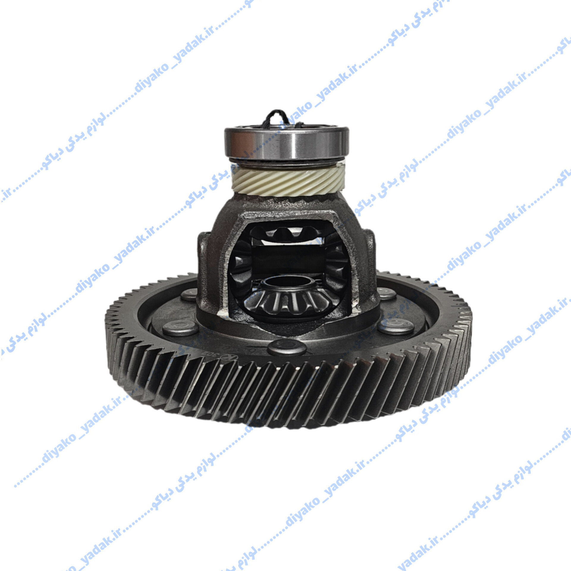 InShot_20251027_080839430