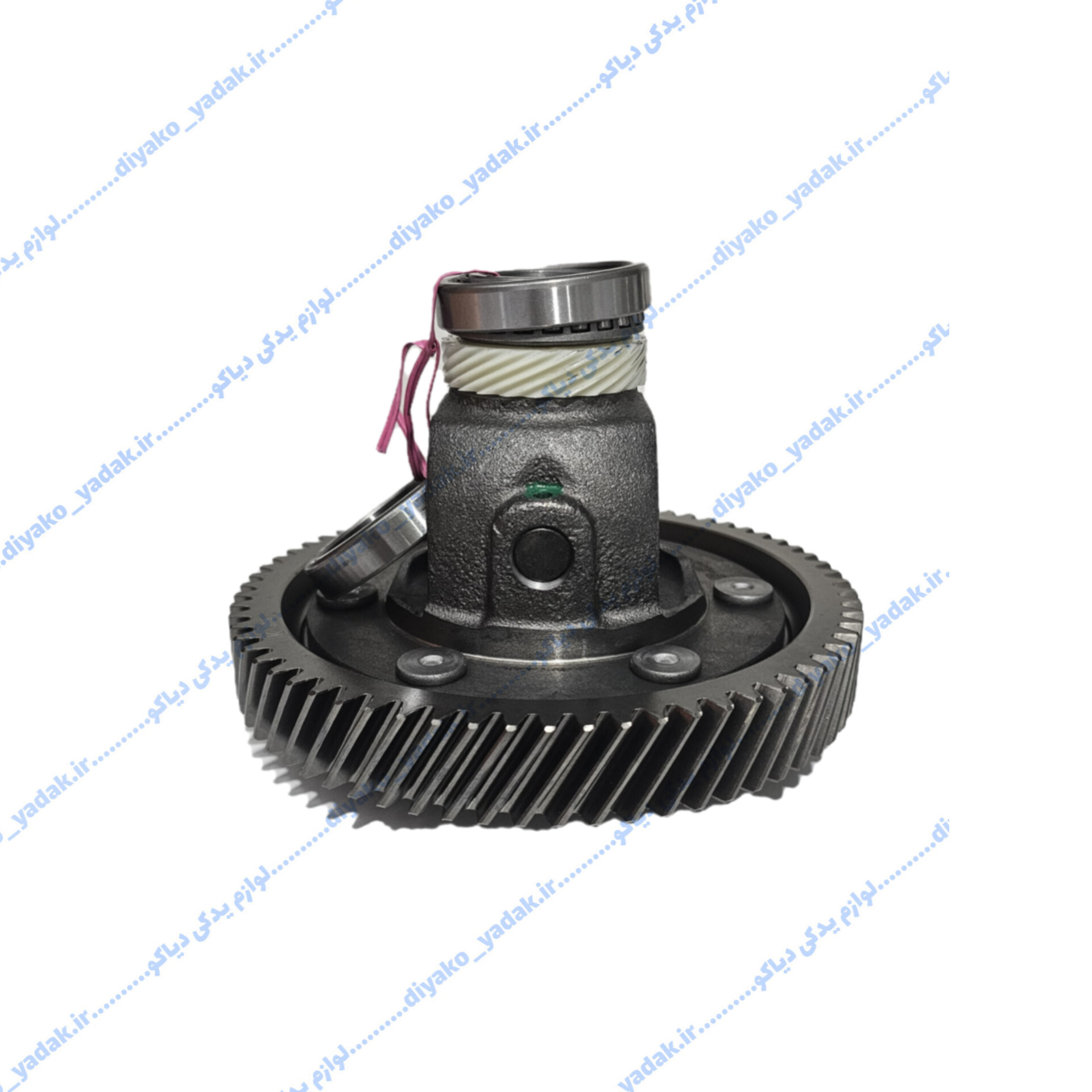 InShot_20251027_081107234