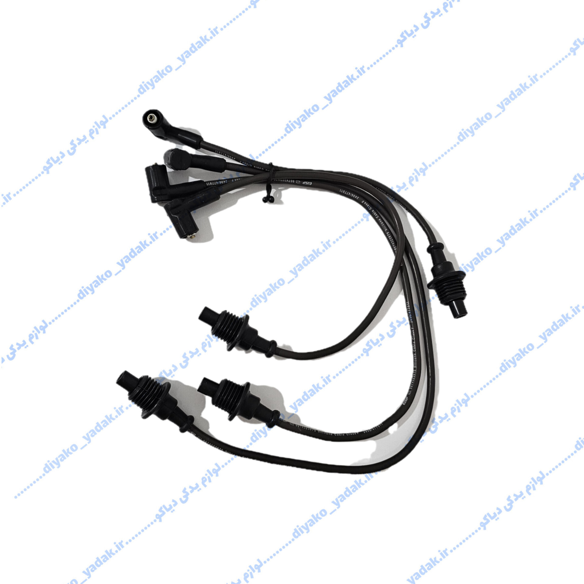 InShot_20251027_100030946