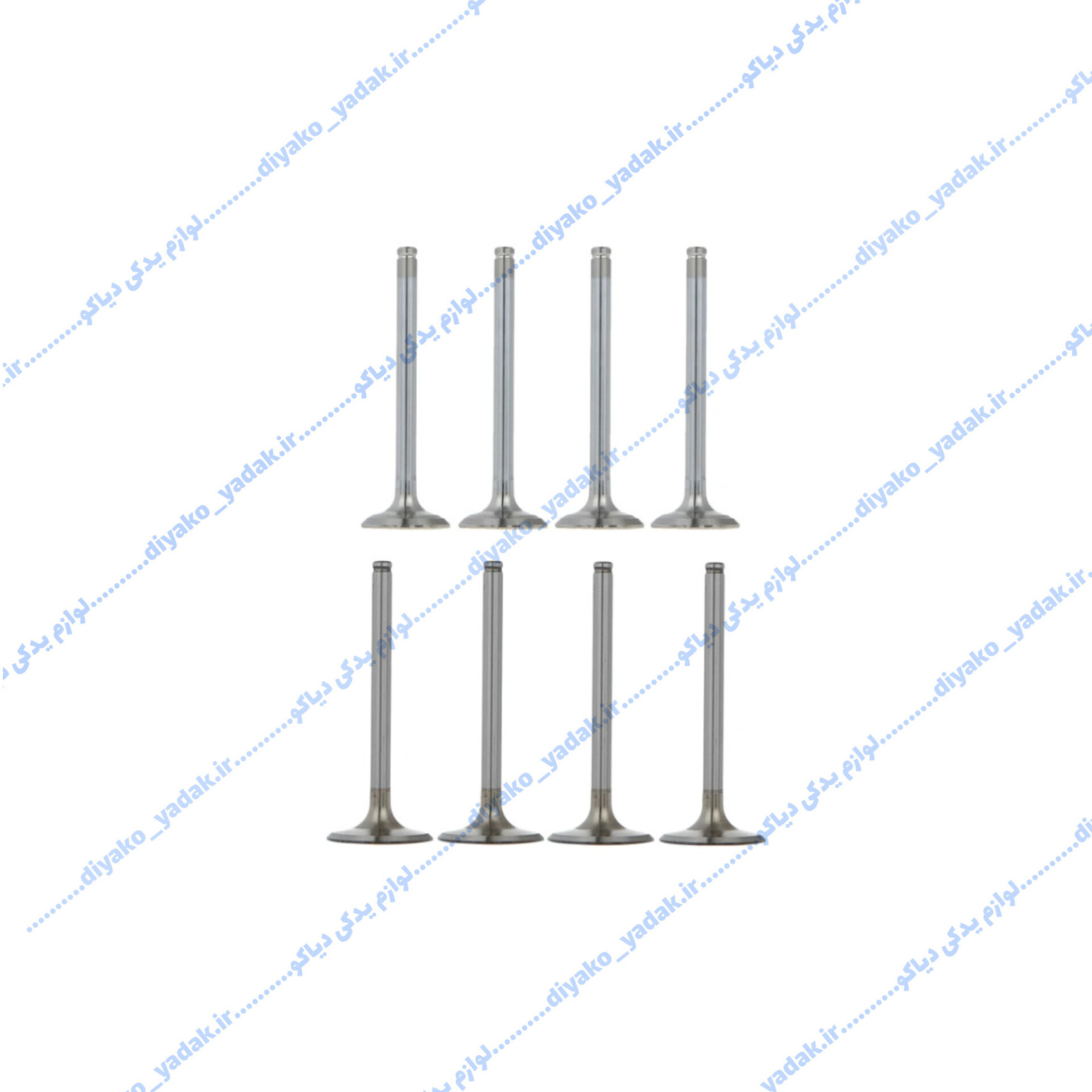 InShot_20251027_103634023