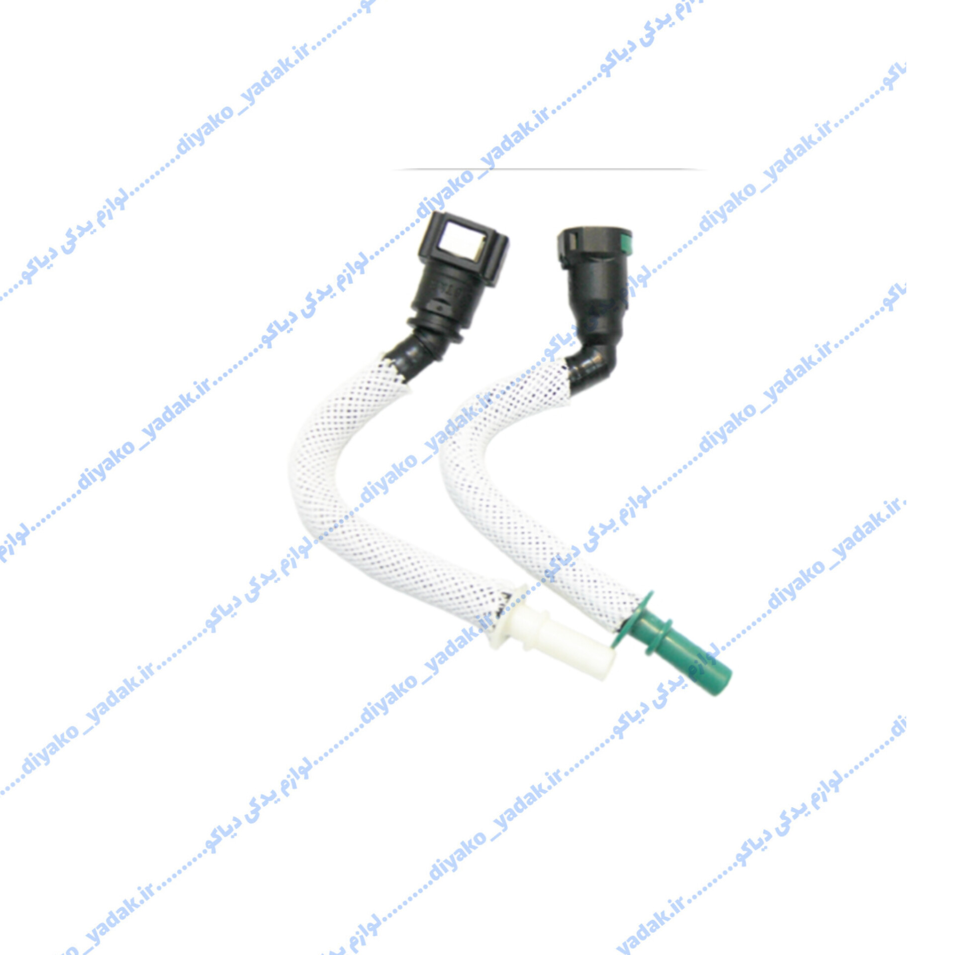 InShot_20251028_000026355