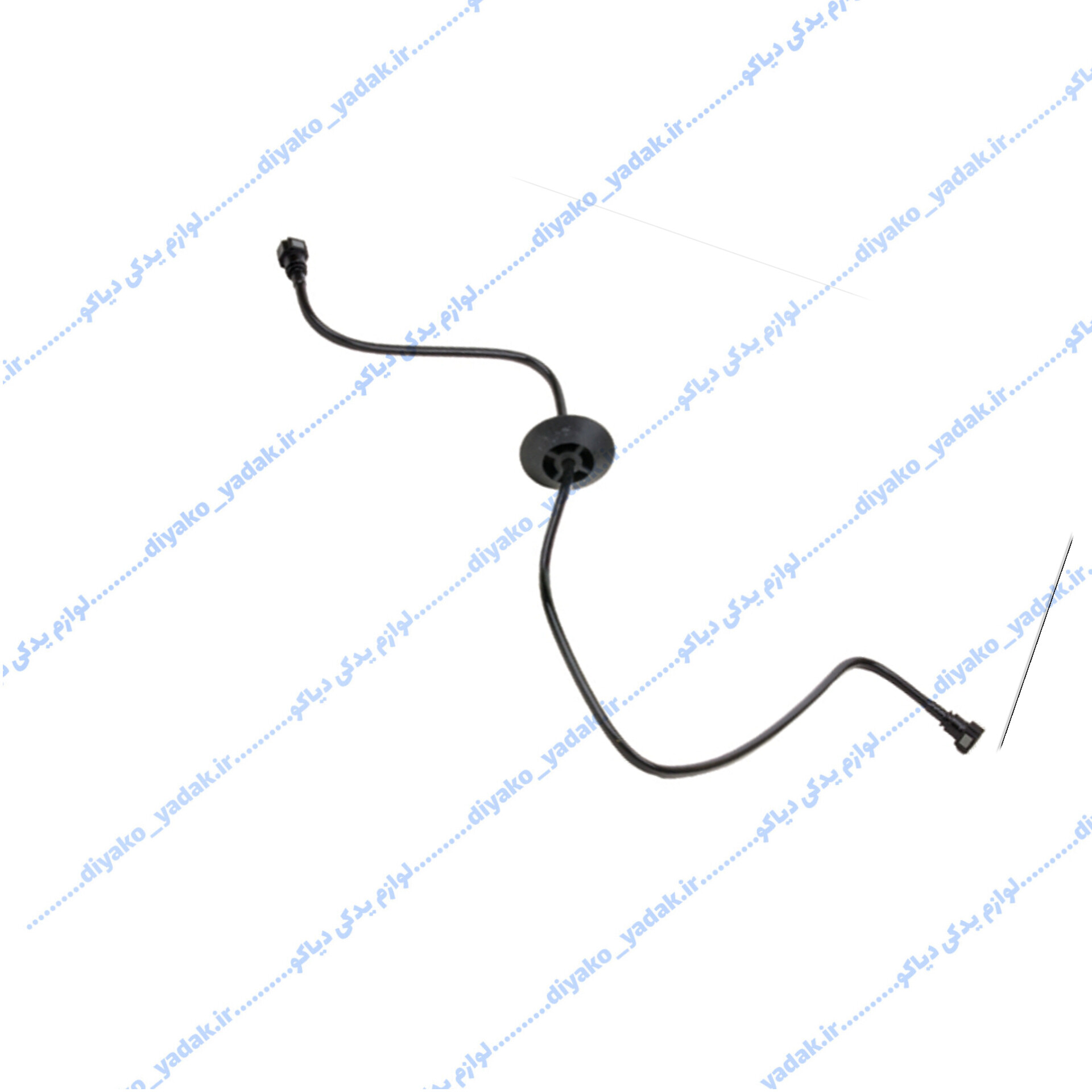 InShot_20251028_183730937