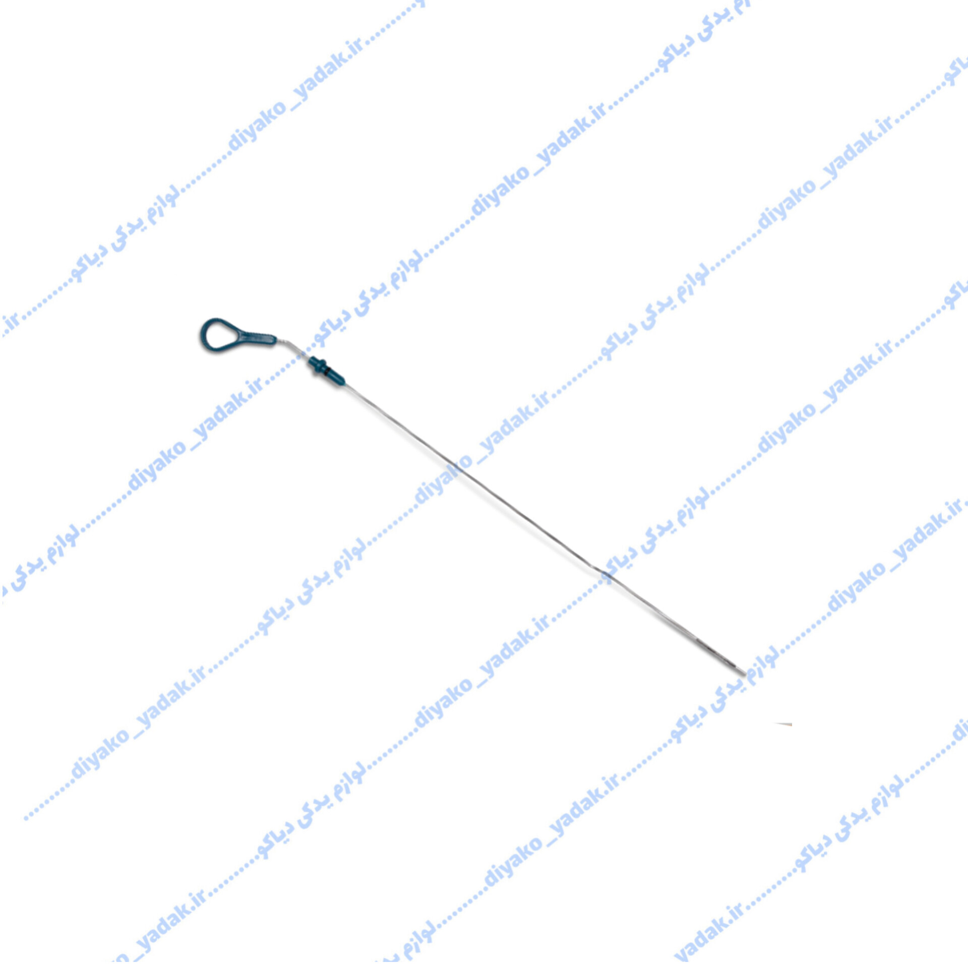 InShot_20251028_192823320