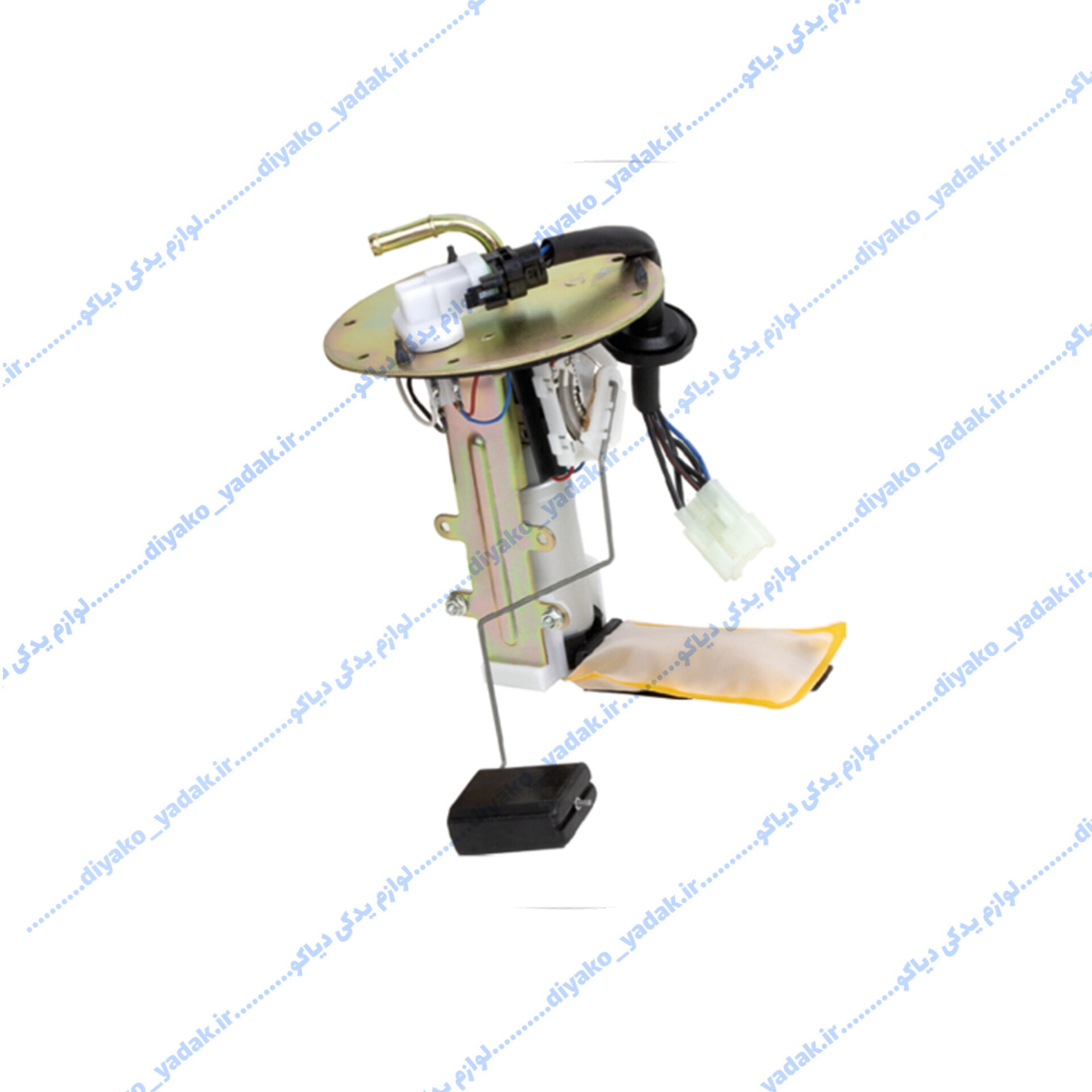 InShot_20251028_193256747