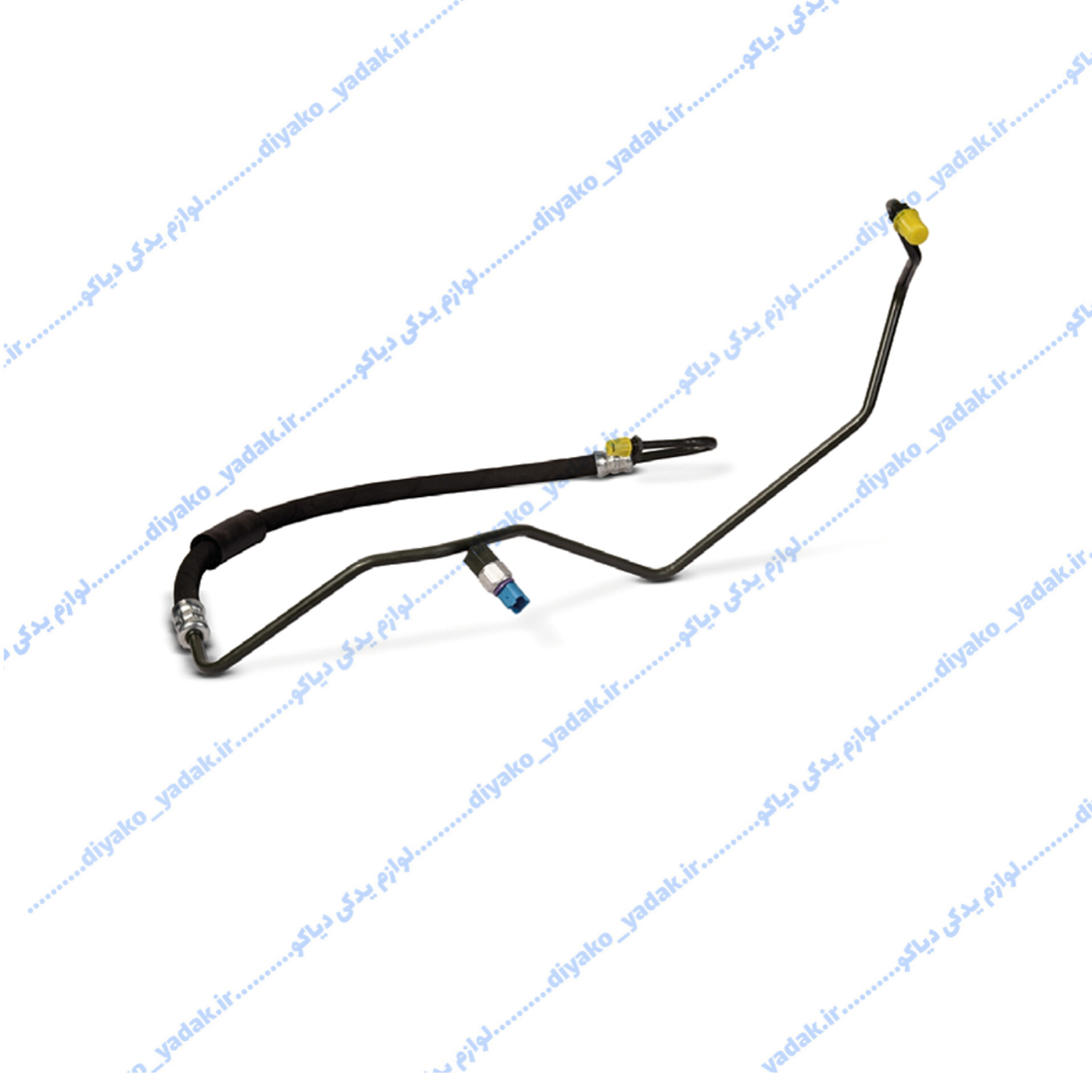 InShot_20251028_193639193