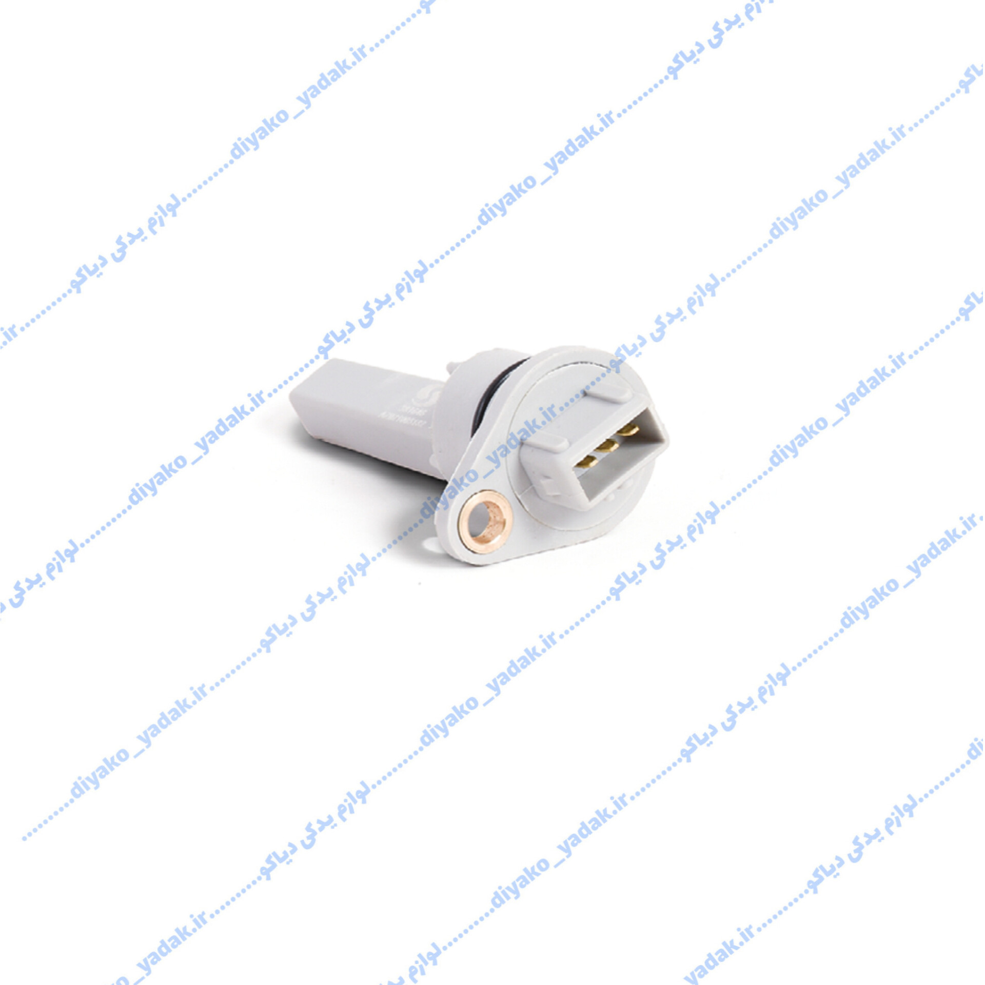 InShot_20251028_194908992