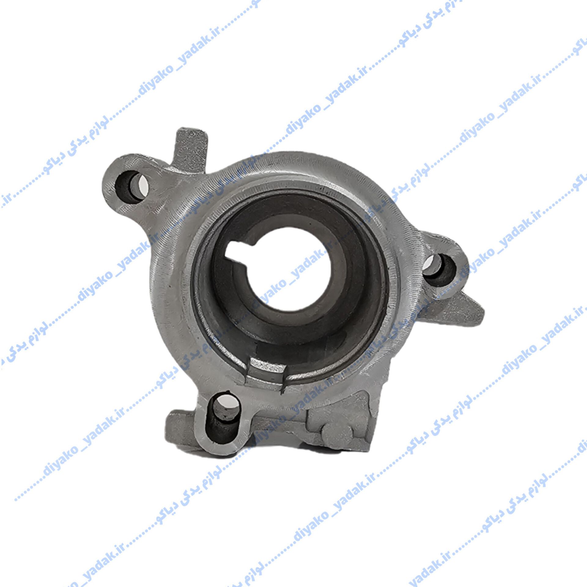 InShot_20251108_084207245