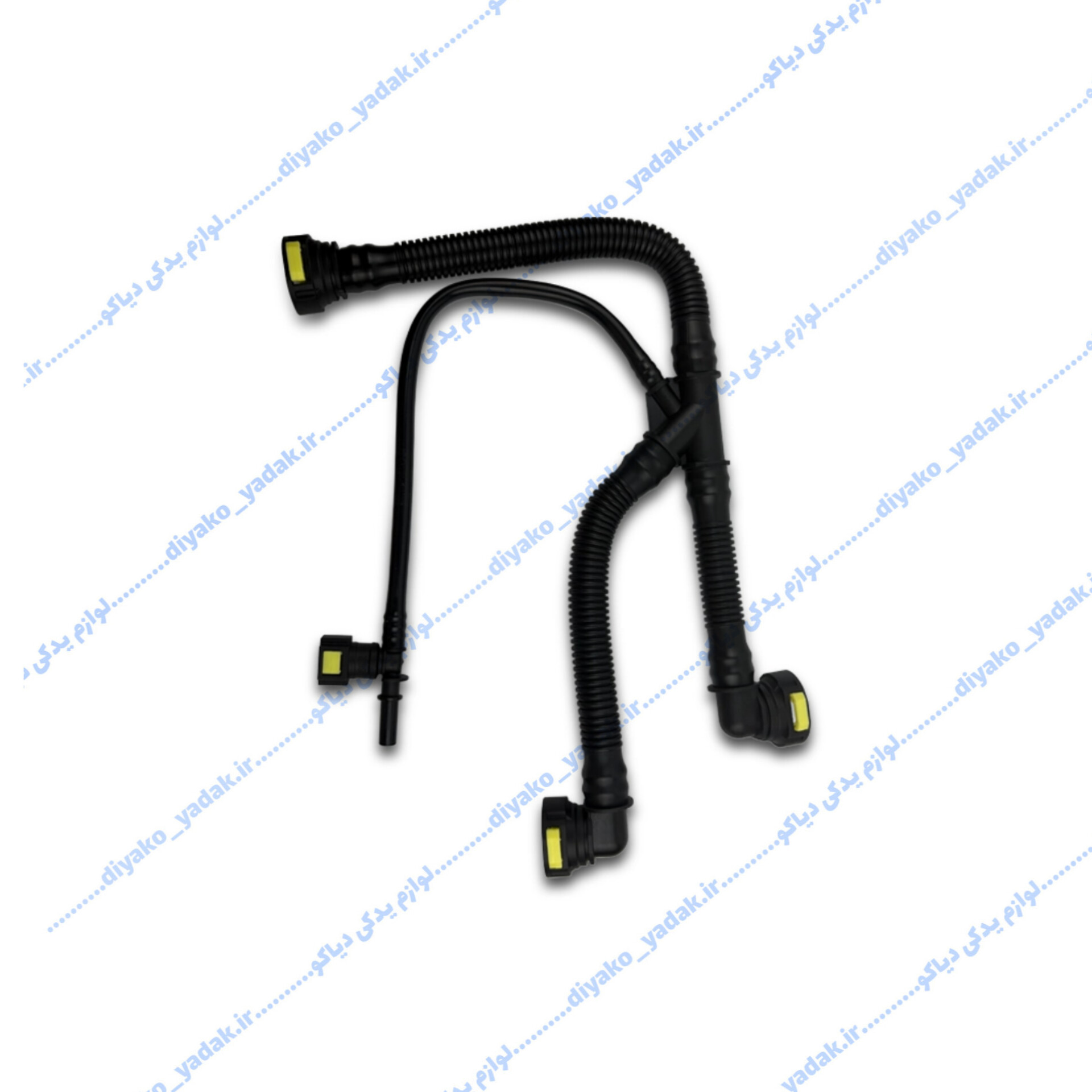 InShot_20251108_171148499