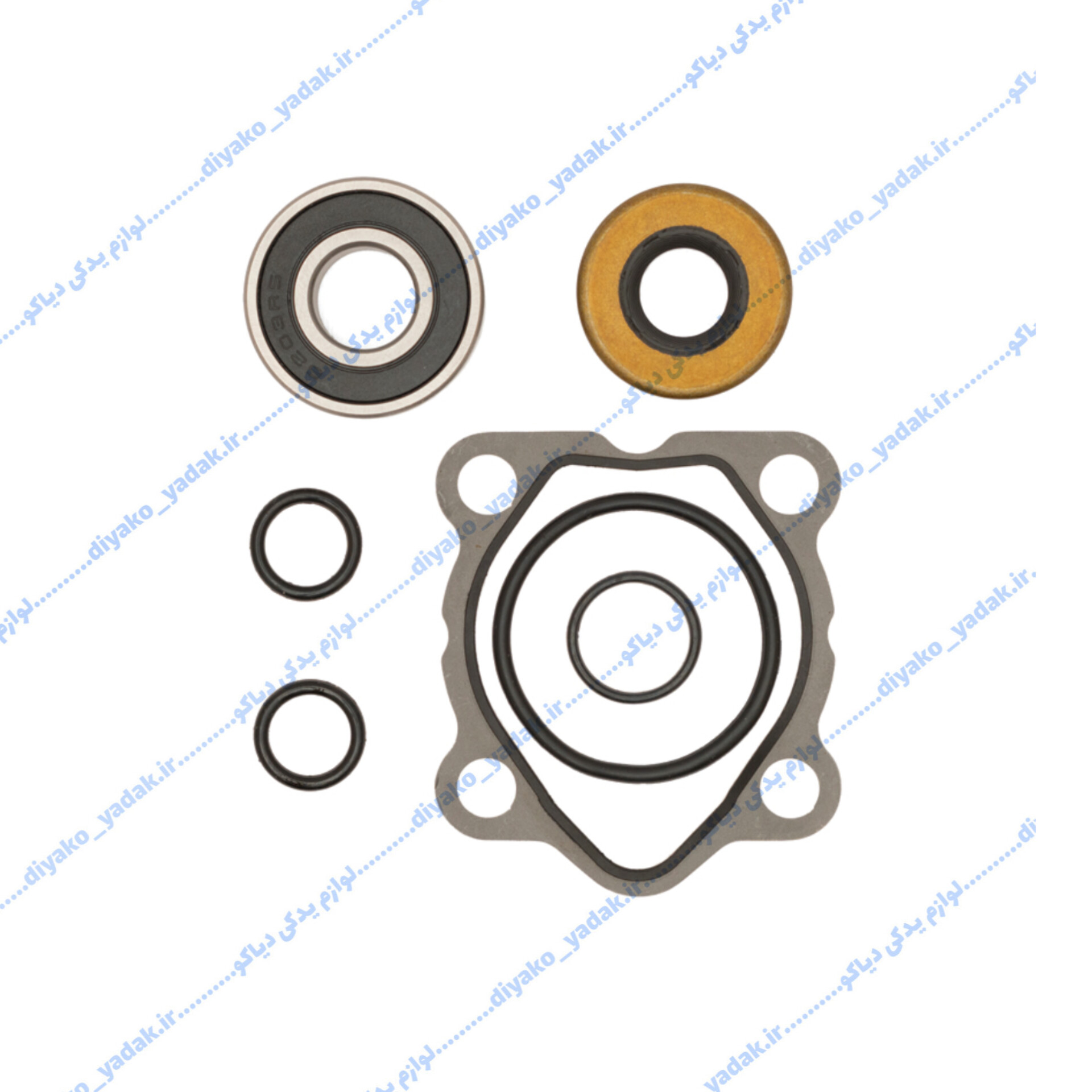 InShot_20251108_172515675