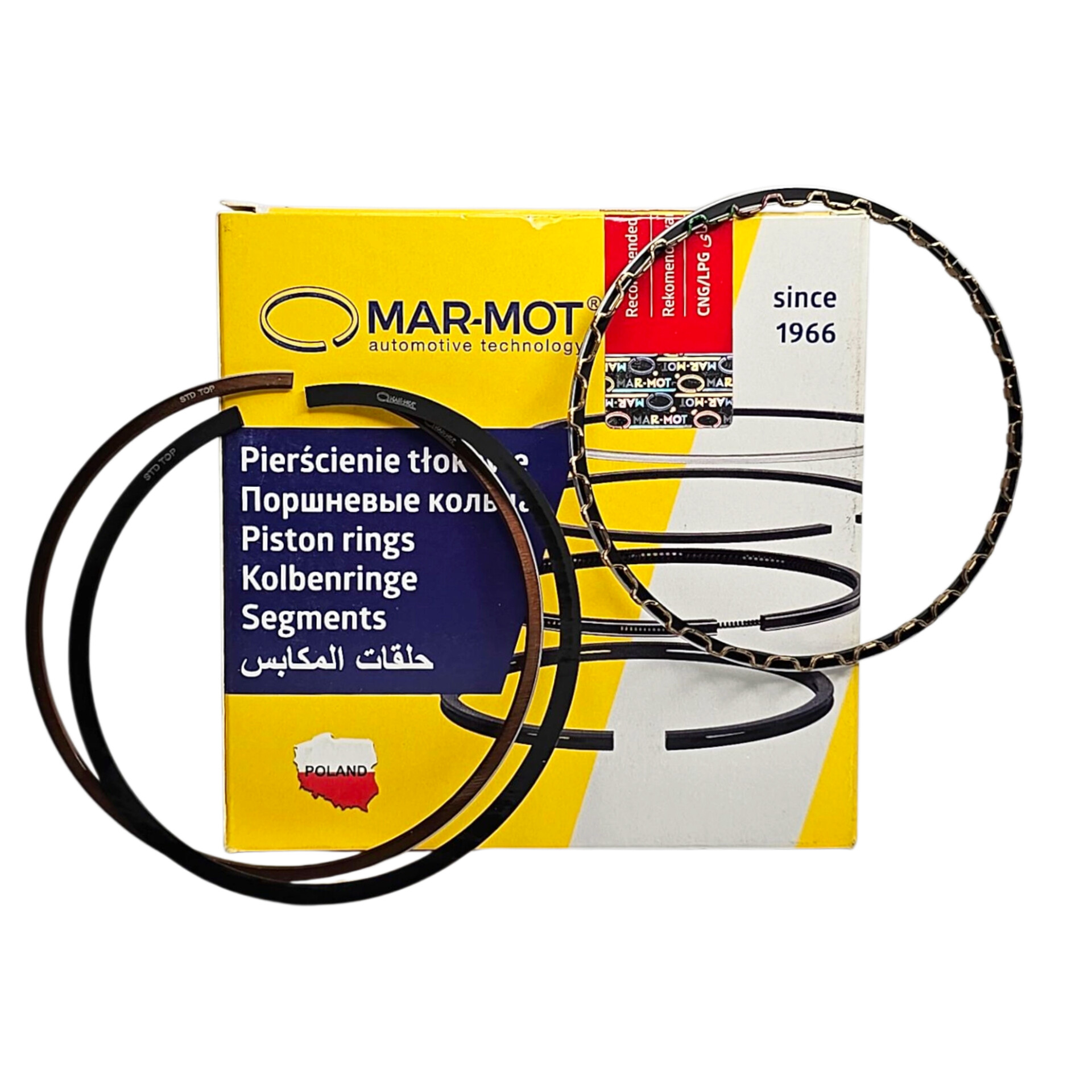 InShot_20261007_110336665 رینگ موتور استاندارد پژو 405 مارموت لهستانی - تصویر 1